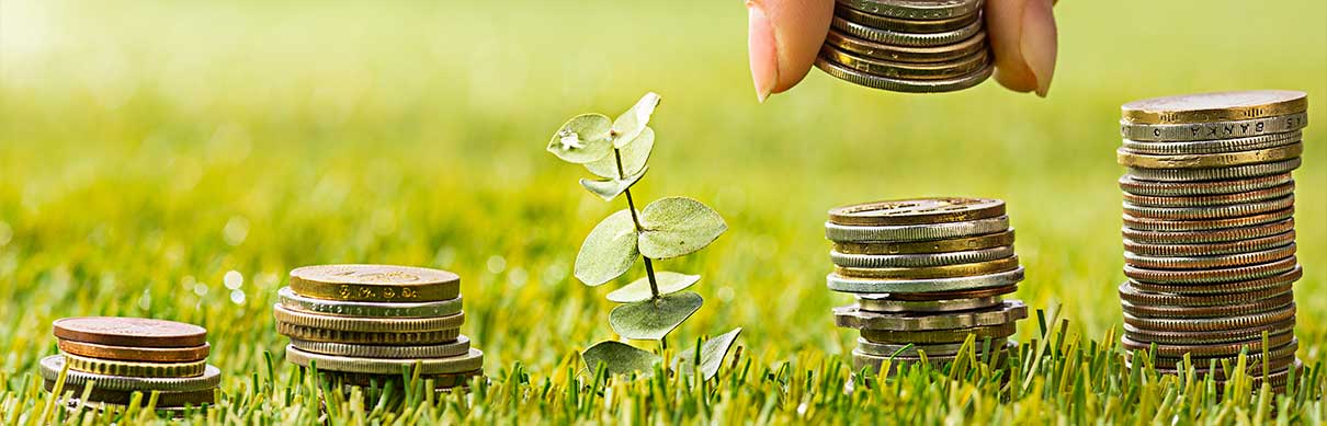 chempgm-miniatura-content